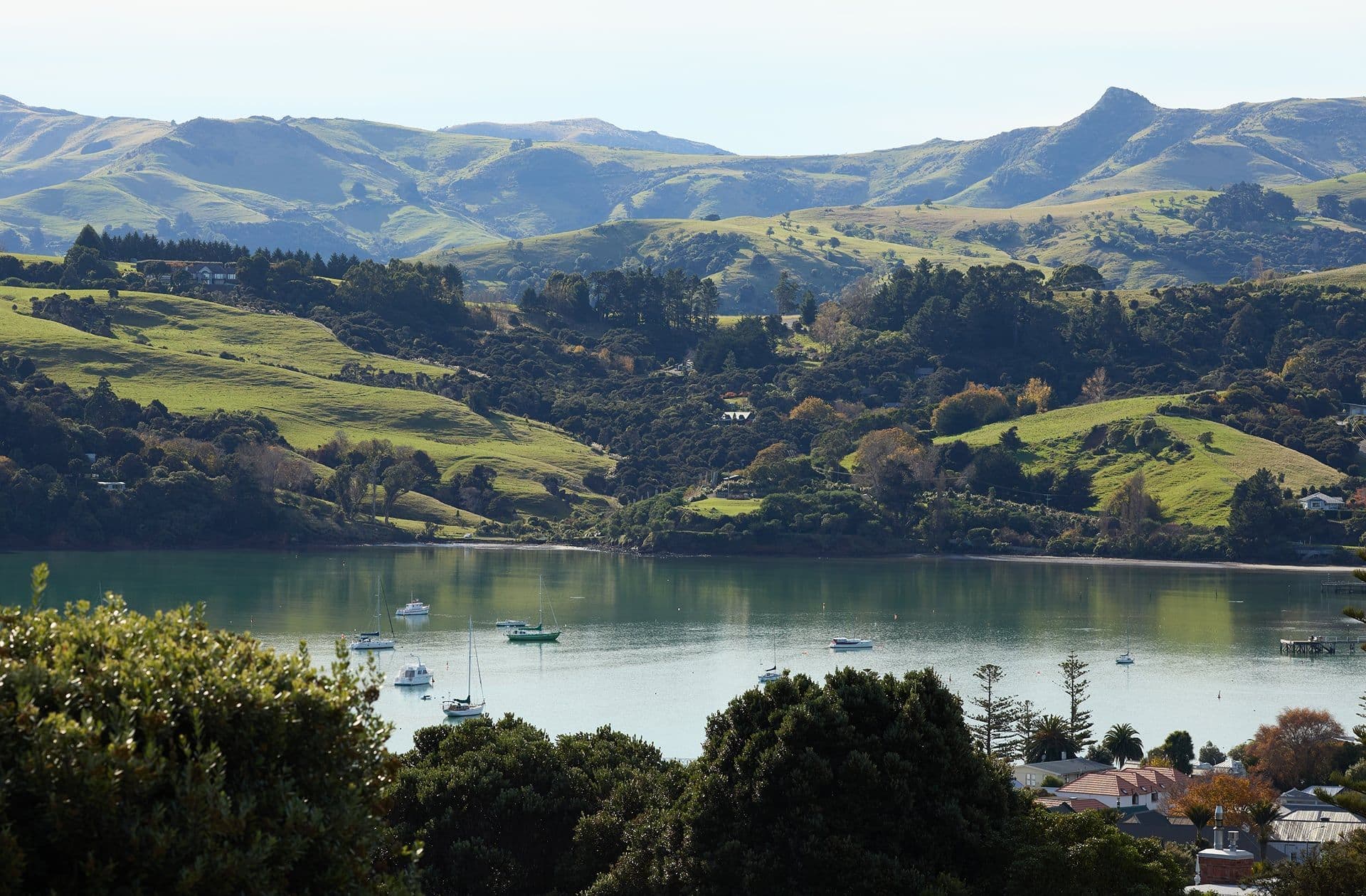 Akaroa views from Newton Heights