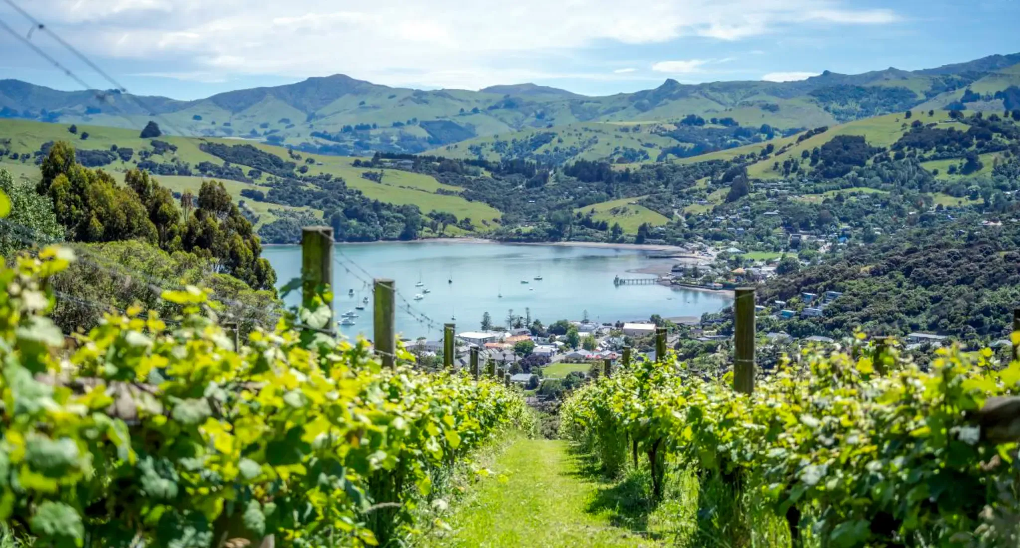 View from Caldera Estate